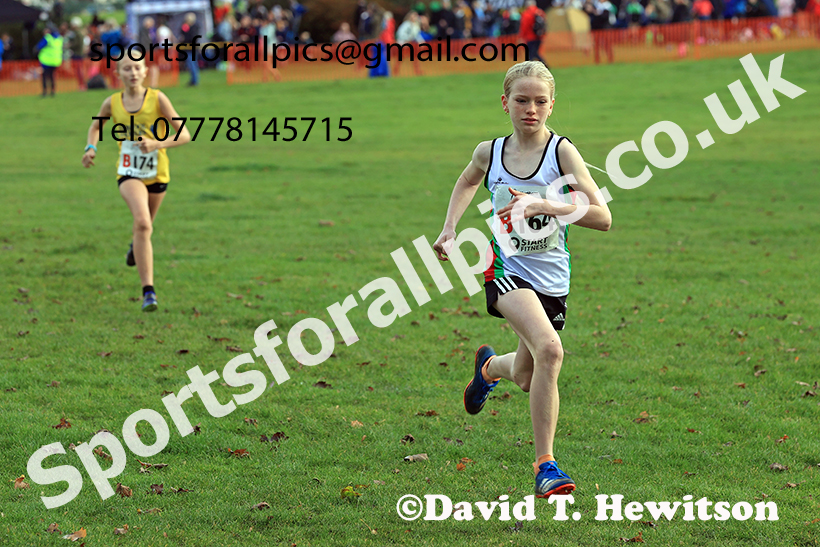 Girls under-13s, 2024 Northern Cross Country Relays, Graves Park, Sheffield.   Photo: David T. Hewitson/Sports for All Pics